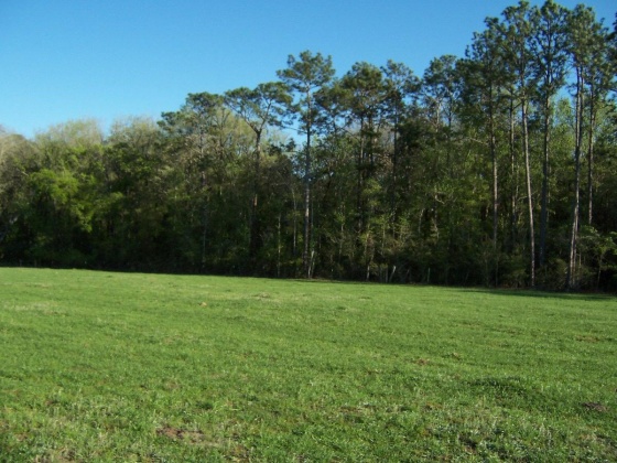 Defuniak Springs, Florida 32433, ,Land,For Sale,Phillips,868596