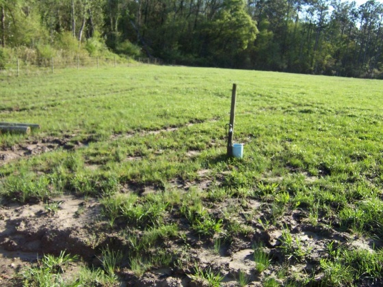 Defuniak Springs, Florida 32433, ,Land,For Sale,Phillips,868596