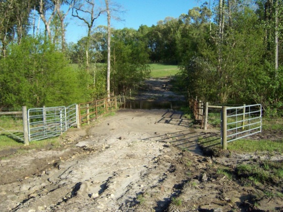 Defuniak Springs, Florida 32433, ,Land,For Sale,Phillips,868596
