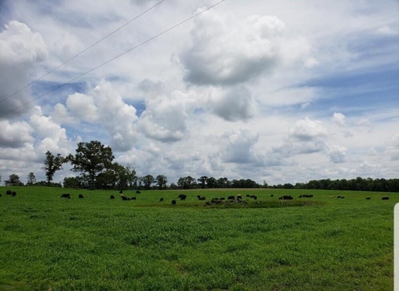 Defuniak Springs, Florida 32433, ,Land,For Sale,Phillips,868596