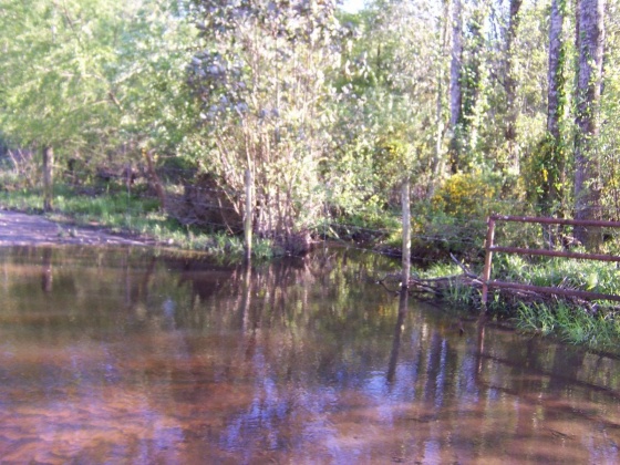 Defuniak Springs, Florida 32433, ,Land,For Sale,Phillips,868596