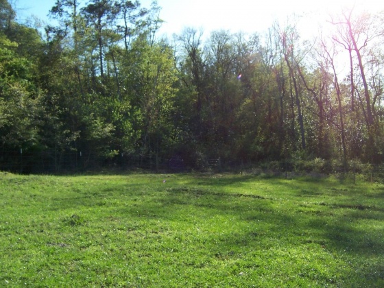 Defuniak Springs, Florida 32433, ,Land,For Sale,Phillips,868596