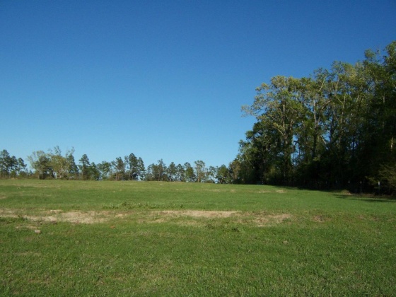 Defuniak Springs, Florida 32433, ,Land,For Sale,Phillips,868596
