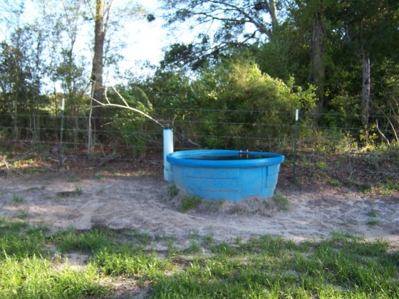 Defuniak Springs, Florida 32433, ,Land,For Sale,Phillips,868596