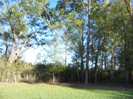 Defuniak Springs, Florida 32433, ,Land,For Sale,Phillips,868596