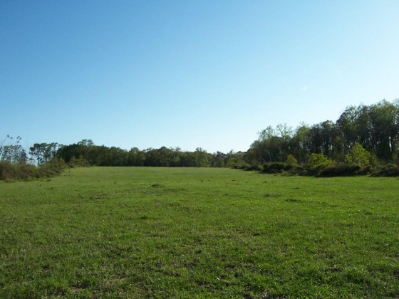 Defuniak Springs, Florida 32433, ,Land,For Sale,Phillips,868596