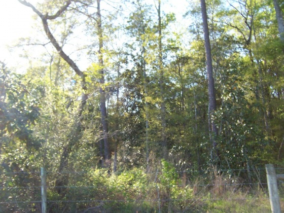 Defuniak Springs, Florida 32433, ,Land,For Sale,Phillips,868596