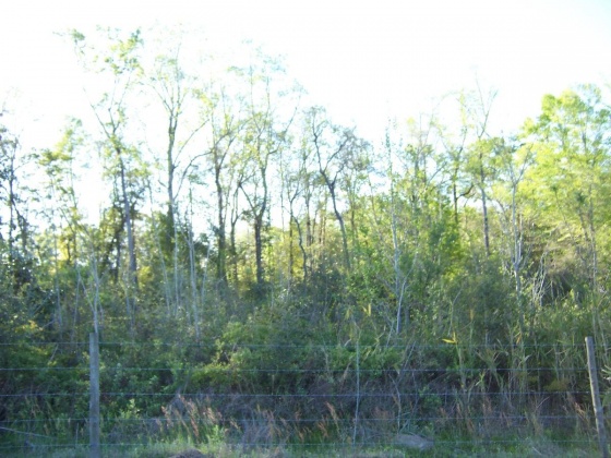 Defuniak Springs, Florida 32433, ,Land,For Sale,Phillips,868596