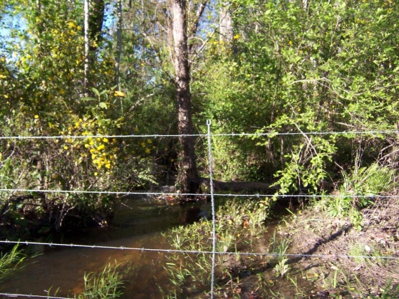 Defuniak Springs, Florida 32433, ,Land,For Sale,Phillips,868596