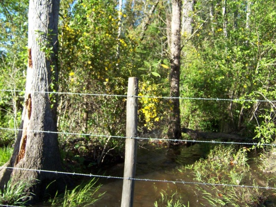 Defuniak Springs, Florida 32433, ,Land,For Sale,Phillips,868596