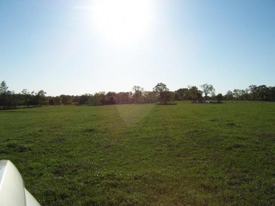 Defuniak Springs, Florida 32433, ,Land,For Sale,Phillips,868596