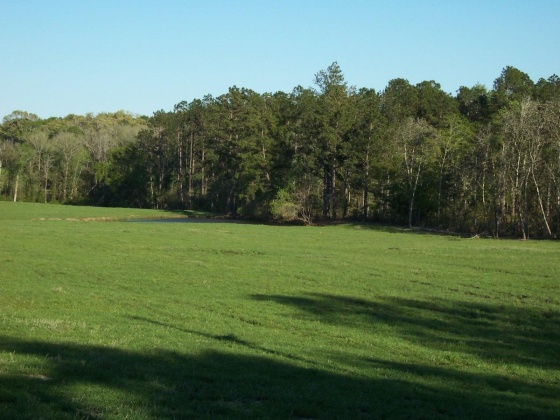 Defuniak Springs, Florida 32433, ,Land,For Sale,Phillips,868596