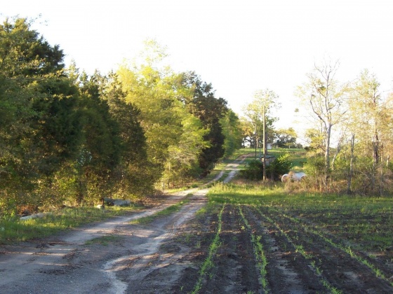 Defuniak Springs, Florida 32433, ,Land,For Sale,Phillips,868596