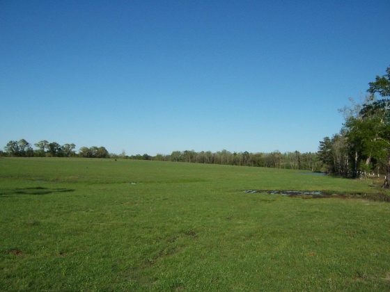 Defuniak Springs, Florida 32433, ,Land,For Sale,Phillips,868596