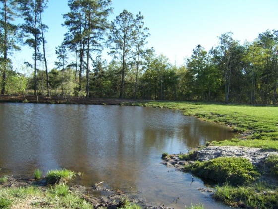 Defuniak Springs, Florida 32433, ,Land,For Sale,Phillips,868596