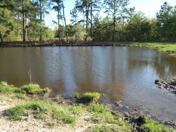 Defuniak Springs, Florida 32433, ,Land,For Sale,Phillips,868596