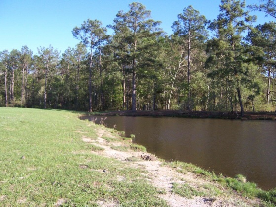 Defuniak Springs, Florida 32433, ,Land,For Sale,Phillips,868596