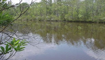 Freeport, Florida 32439, ,Land,For Sale,Dolphin,868610