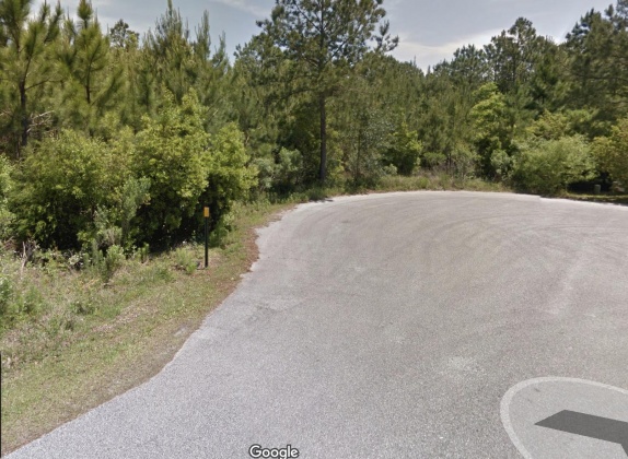 Freeport, Florida 32439, ,Land,For Sale,Dolphin,868610