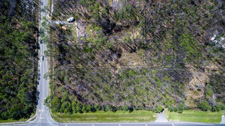 Santa Rosa Beach, Florida 32459, ,Land,For Sale,Thompson,868613