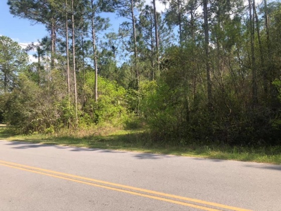 Defuniak Springs, Florida 32433, ,Land,For Sale,Lake Rosemary,868615