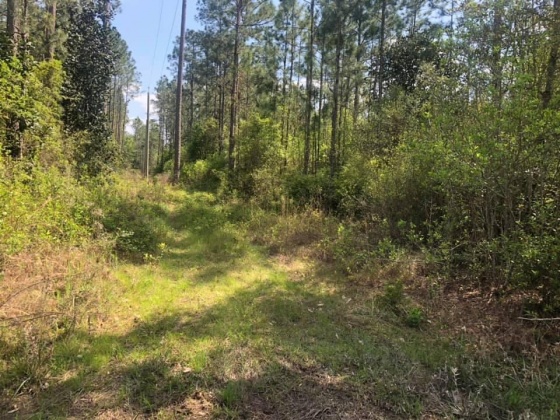 Defuniak Springs, Florida 32433, ,Land,For Sale,Lake Rosemary,868615