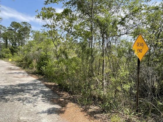 Miramar Beach, Florida 32550, ,Land,For Sale,Shelter Cove Drive,868695