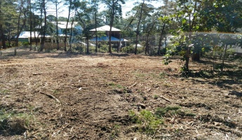 Santa Rosa Beach, Florida 32459, ,Land,For Sale,Woodland,868718