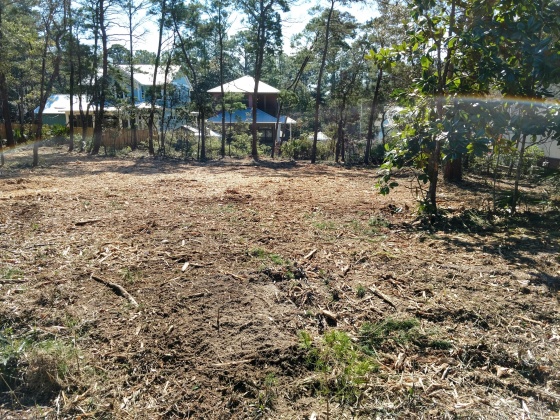 Santa Rosa Beach, Florida 32459, ,Land,For Sale,Woodland,868718