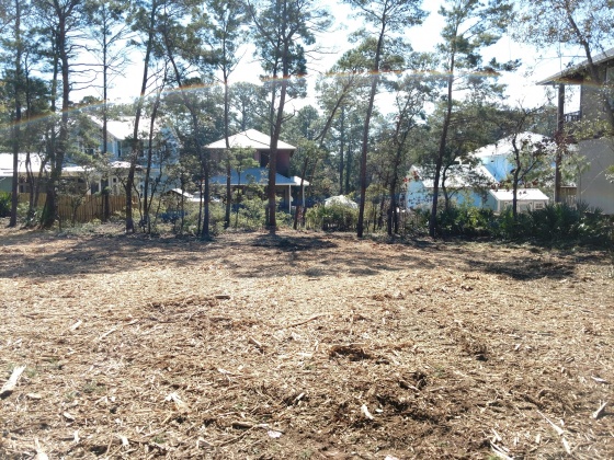 Santa Rosa Beach, Florida 32459, ,Land,For Sale,Woodland,868718