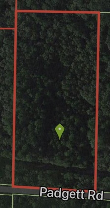 Ponce De Leon, Florida 32455, ,Land,For Sale,Padgett Rd,868694