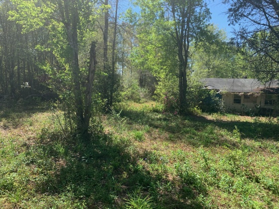 Laurel Hill, Florida 32567, 2 Bedrooms Bedrooms, ,1 BathroomBathrooms,Residential,For Sale,Ben Ashley,868704