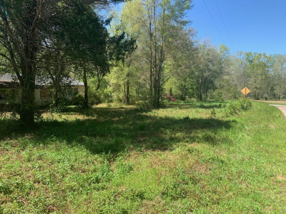 Laurel Hill, Florida 32567, 2 Bedrooms Bedrooms, ,1 BathroomBathrooms,Residential,For Sale,Ben Ashley,868704