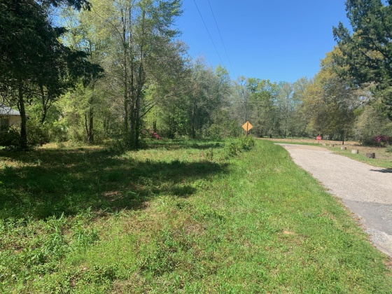 Laurel Hill, Florida 32567, 2 Bedrooms Bedrooms, ,1 BathroomBathrooms,Residential,For Sale,Ben Ashley,868704