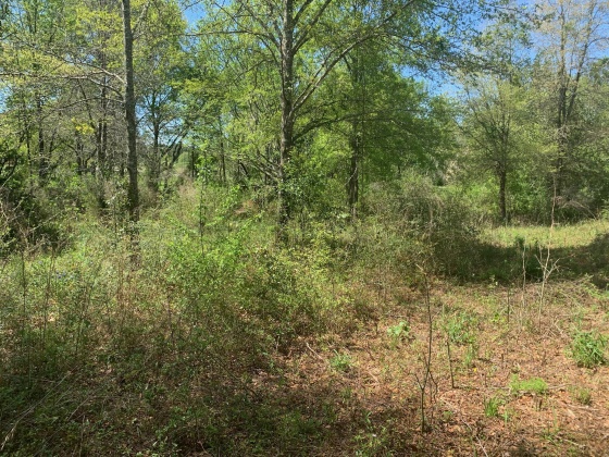 Laurel Hill, Florida 32567, 2 Bedrooms Bedrooms, ,1 BathroomBathrooms,Residential,For Sale,Ben Ashley,868704