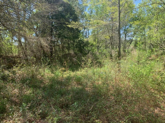 Laurel Hill, Florida 32567, 2 Bedrooms Bedrooms, ,1 BathroomBathrooms,Residential,For Sale,Ben Ashley,868704