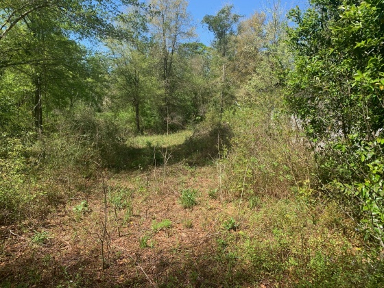 Laurel Hill, Florida 32567, 2 Bedrooms Bedrooms, ,1 BathroomBathrooms,Residential,For Sale,Ben Ashley,868704