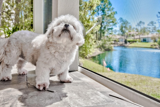 Miramar Beach, Florida 32550, 4 Bedrooms Bedrooms, ,4 BathroomsBathrooms,Residential,For Sale,Baytowne,868697