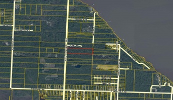 Santa Rosa Beach, Florida 32459, ,Land,For Sale,Acres N CO HWY 393,832372