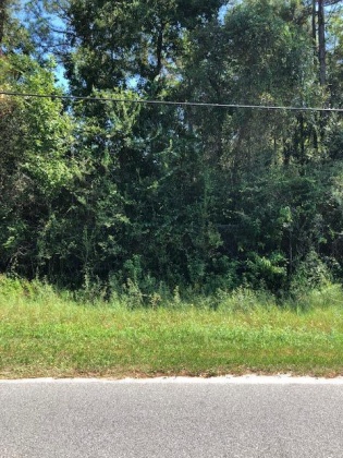 Santa Rosa Beach, Florida 32459, ,Land,For Sale,Acres N CO HWY 393,832372