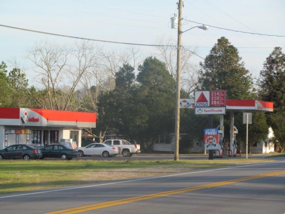 Paxton, Florida 32538, ,Commercial for Sale,For Sale,331,868762