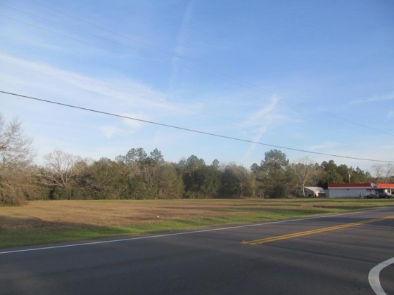 Paxton, Florida 32538, ,Commercial for Sale,For Sale,331,868762