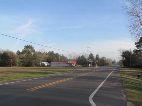 Paxton, Florida 32538, ,Commercial for Sale,For Sale,331,868762