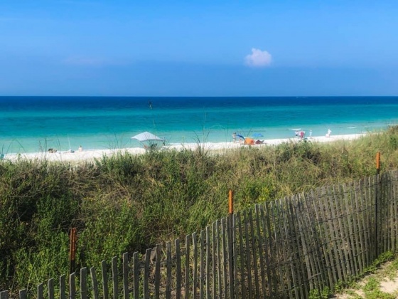 Santa Rosa Beach, Florida 32459, 4 Bedrooms Bedrooms, ,4 BathroomsBathrooms,Residential,For Sale,County Highway 30A,858812