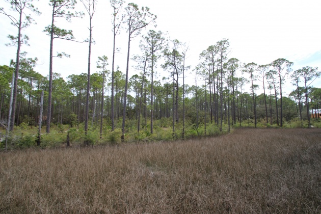 Panama City Beach, Florida 32413, ,Land,For Sale,Riverhouse,868798