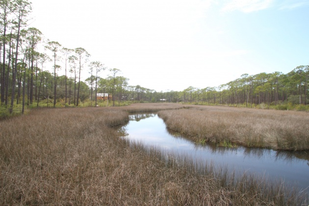 Panama City Beach, Florida 32413, ,Land,For Sale,Riverhouse,868798