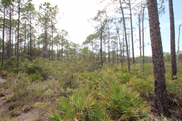 Panama City Beach, Florida 32413, ,Land,For Sale,Riverhouse,868798