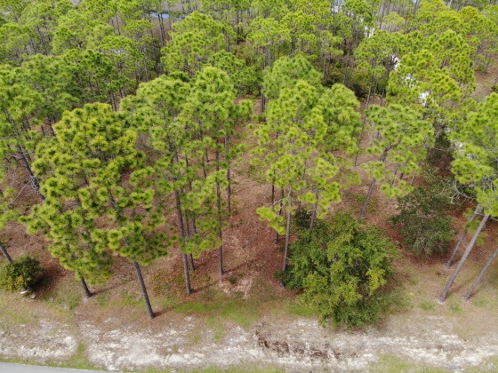 Panama City Beach, Florida 32413, ,Land,For Sale,Riverhouse,868798
