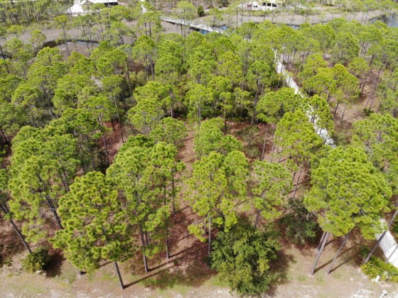 Panama City Beach, Florida 32413, ,Land,For Sale,Riverhouse,868798