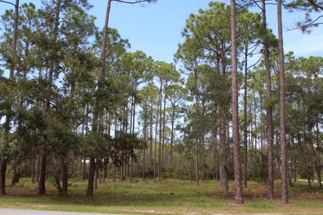 Panama City Beach, Florida 32413, ,Land,For Sale,Riverhouse,868798